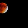 Photos, Video: Supermoon Eclipse, AKA SuperBloodMoon, Over NYC